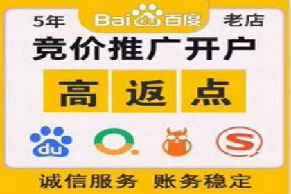 百度竞价推广案例：行业领军者成长故事